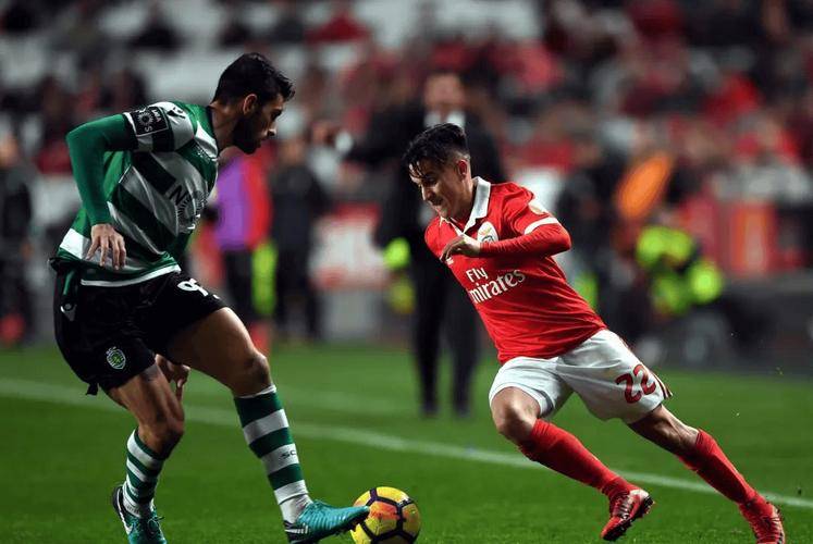 IM sports-sunny电竞哔哩哔哩个人空间